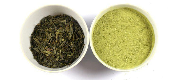 The Difference Between Matcha and Green Tea - aila