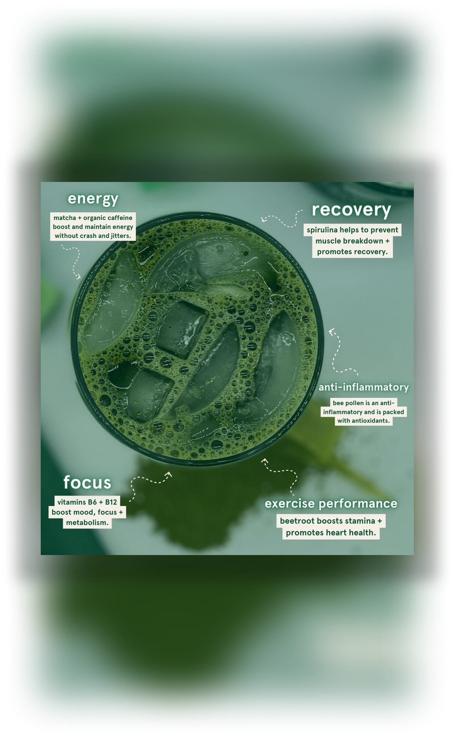 Aila matcha pre-workout supplement ingredients and benefits